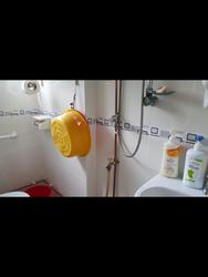 Blk 534 Bedok North Street 3 (Bedok), HDB 2 Rooms #92176942